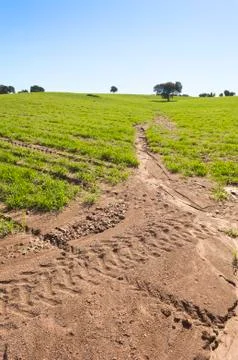 Eroded field Stock Photos