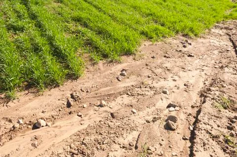 Eroded field Stock Photos