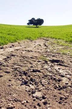 Eroded field Stock Photos