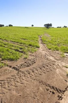 Eroded field Stock Photos