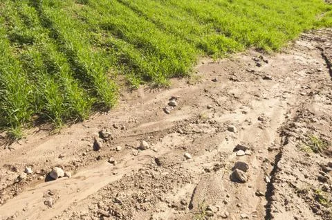 Eroded field Stock Photos