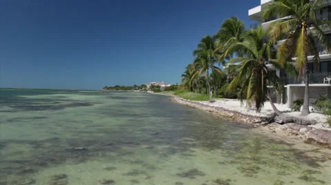 Eroded Key West Beach Stock Footage 35347003