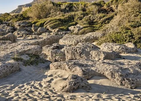Eroded limestone rocks on a sandy beach Stock Photos