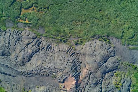 Eroded quarry cliff face with dark grey soil ravines next to green forest tree Stock Photos