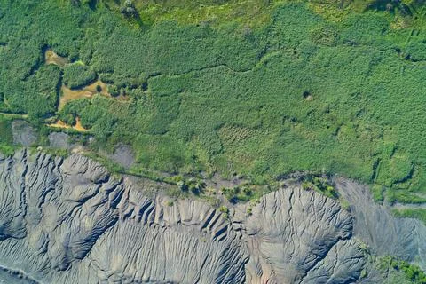 Eroded quarry slope with deep grey ravines bordering green forest canopy, top Foto stock