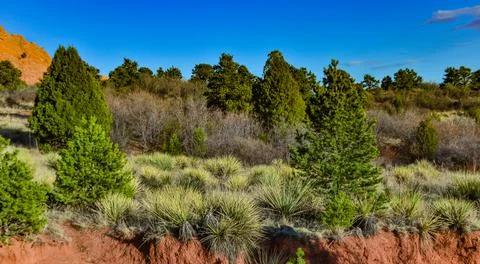 Eroded red-sandstone formations. Garden of the Gods, Colorado Springs, Colora 스톡 사진