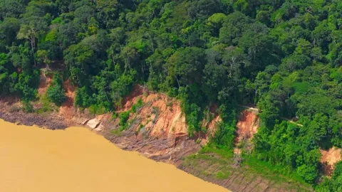 Eroded Riverbank with Fallen Trees in Amazon Rainforest of Tambopata, Peru, Stock Footage 314321224
