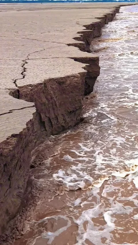 Eroded Riverbank Tidal Tree Formation During Tidal Bore Qiantang River China Stock Footage 342602935