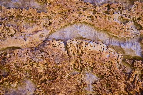 Eroded Rock Patterns in Earthy Tones Close-Up at Cowboy Canyon Stock Photos