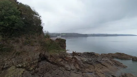 Eroded rock on shore, green trees and shrubs on bank Stock-Footage 166646133