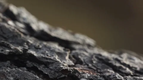 Eroded rock texture Stock Footage