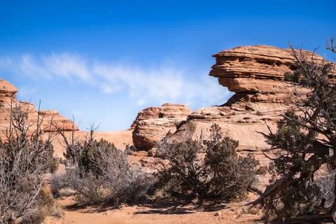Eroded Sandstone Formations and Desert Vegetation in Arches Nati 스톡 사진