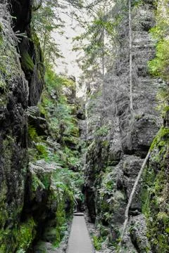 Eroded sandstone rocks and typical vegetation of the hiking area Saxon Switze Stock Photos