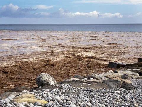 Eroded soil being washed into the sea down the Barrnaco de los Cocos Playa Sa Stock Photos