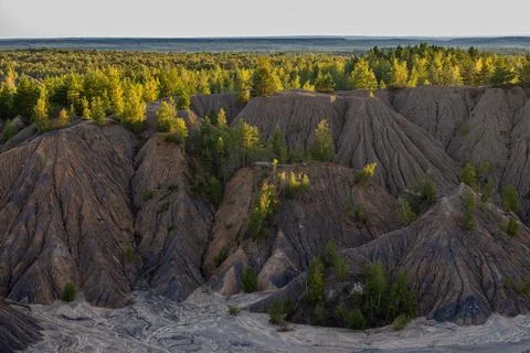 Eroded soil quarry ravine with forest on its edge at summer evening Stockfoto's