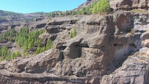 Eroded volcanic cliff face with caves and pine trees, Riscos de Tirajana Vídeo Stock 347757452