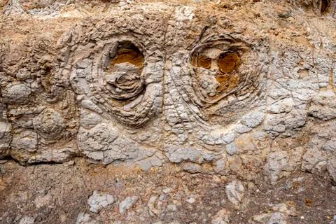 Eroded volcanic rock with interesting pattern La Gomera Canary Islands Spain Stock Photos