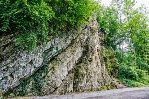 Eroded wall of a rock formation covered by wild vegetation on top next to road 스톡 사진