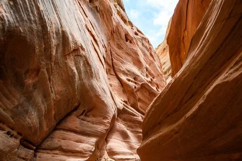 Eroded by water and wind cliffs in the canyon, Little Wild Horse Canyon, Sa.. Photos