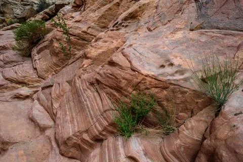 Eroded by water and wind cliffs in the canyon Little Wild Horse Canyon. San.. Foto stock