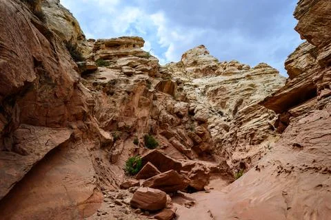 Eroded by water and wind cliffs in the canyon Little Wild Horse Canyon. San.. Foto stock