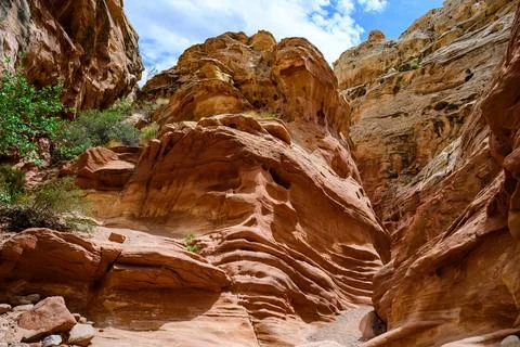 Eroded by water and wind cliffs in the canyon Little Wild Horse Canyon. San.. Foto stock