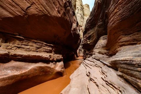 Eroded by water and wind cliffs in the canyon Little Wild Horse Canyon. San.. 스톡 사진