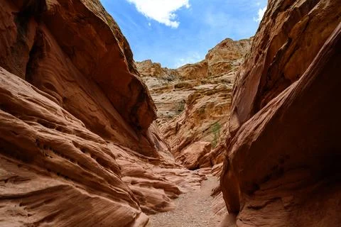 Eroded by water and wind cliffs in the canyon, Little Wild Horse Canyon, Sa.. Stock Photos