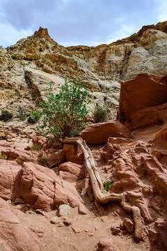 Eroded by water and wind cliffs in the canyon, Little Wild Horse Canyon,  Uta Fotos Stock
