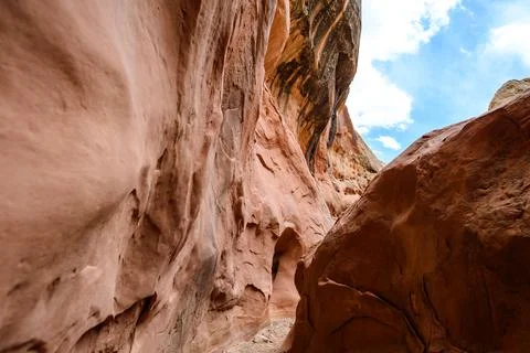 Eroded by water and wind cliffs in the canyon, Little Wild Horse Canyon, Sa.. Stock Photos