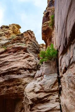 Eroded by water and wind cliffs in the canyon, Little Wild Horse Canyon, Sa.. Фото