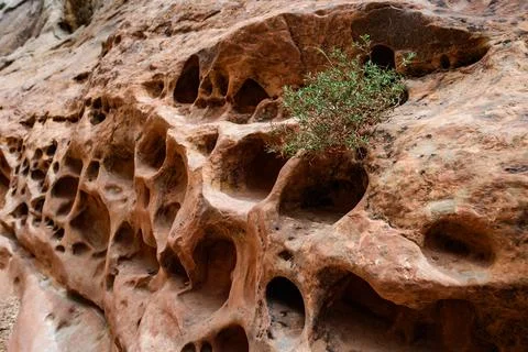Eroded by water and wind cliffs in the canyon, Little Wild Horse Canyon, Sa.. Foto stock