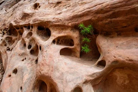 Eroded by water and wind cliffs in the canyon, Little Wild Horse Canyon, Sa.. Stock Photos
