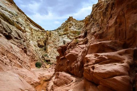 Eroded by water and wind cliffs in the canyon, Little Wild Horse Canyon, Sa.. 스톡 사진