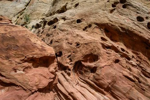 Eroded by water and wind cliffs in the canyon, Little Wild Horse Canyon, Sa.. Foto stock