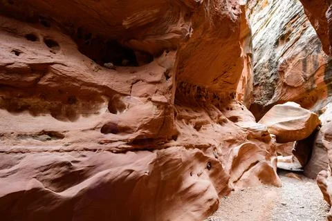 Eroded by water and wind cliffs in the canyon, Little Wild Horse Canyon, Sa.. Фото