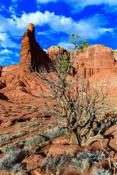 Eroded by water and wind cliffs in the canyon. Little Wild Horse Canyon. Sa.. Stock Photos