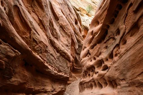 Eroded by water and wind cliffs in the canyon, Little Wild Horse Canyon, Sa.. Stock Photos