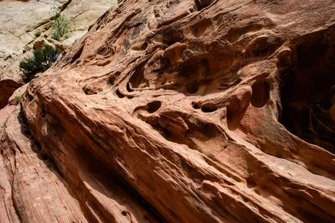Eroded by water and wind cliffs in the canyon, Little Wild Horse Canyon, Sa.. Stock Photos