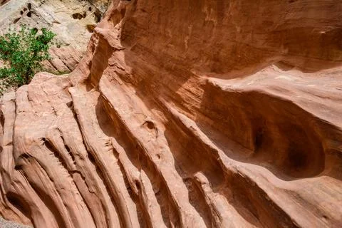 Eroded by water and wind cliffs in the Little Wild Horse Canyon, San Rafael.. Stock Photos