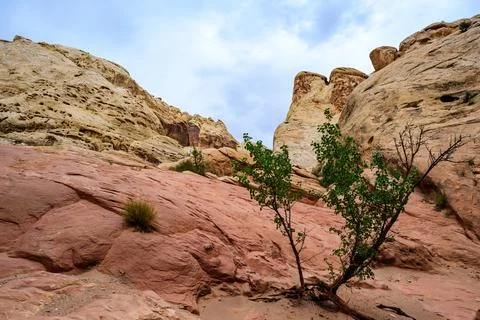 Eroded by water and wind cliffs in the Little Wild Horse Canyon, San Rafael.. Stock Photos