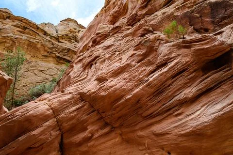 Eroded by water and wind cliffs in the canyon, Little Wild Horse Canyon, Sa.. Stock Photos