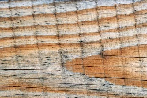Eroded wood natural pattern. Pine planed boards texture use as background. Stock Photos