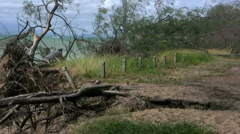 Eroding Beach Stock-Footage 363100