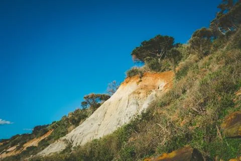 Eroding cliffs and native vegetation on Olivers Hill in Frankston, Victoria,  Foto stock