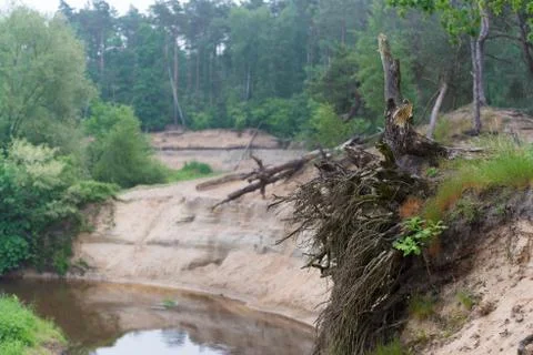 Eroding river in the netherlands Stock Photos