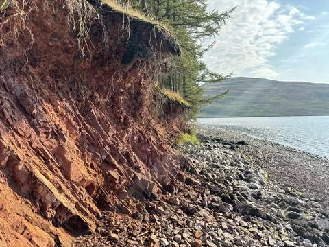 Eroding riverbank with exposed soil and roots Foto stock