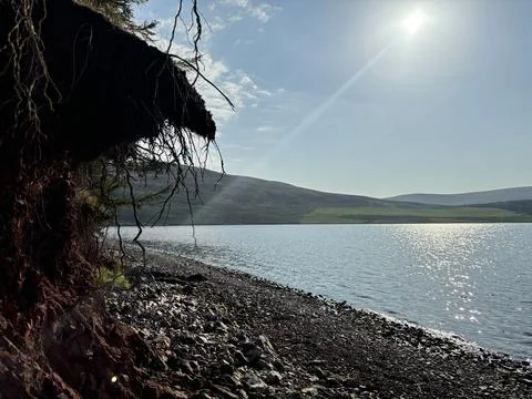 Eroding riverbank with exposed soil and roots Stock Photos