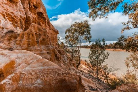 Eroding sandstone cliffs and gum trees on shores of famous Murray River in So Foto stock