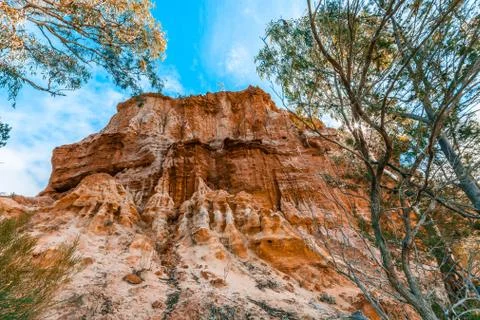 Eroding sandstone cliffs on the shores of Murray River in South Australia Foto stock